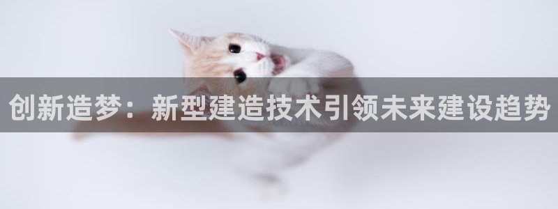 狗子28客服中心